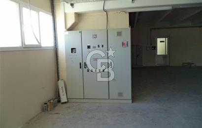 GAZİEMİR SARNIÇ SANAYİ BÖLGESİNDE KİRALIK FABRİKA ÜRETİM TESİSİ