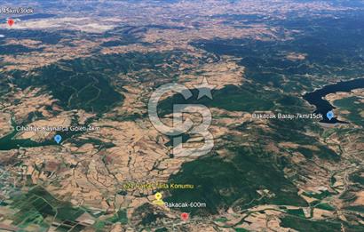 Çanakkale/Biga-BAKACAK Köyü SATILIK 12 DÖNÜM Tarla-220 Ceviz