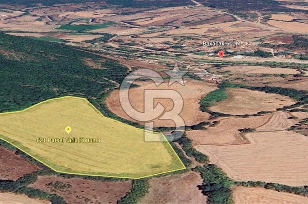 Çanakkale/Biga-BAKACAK Köyü SATILIK 12 DÖNÜM Tarla-220 Ceviz
