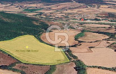 Çanakkale/Biga-BAKACAK Köyü SATILIK 12 DÖNÜM Tarla-220 Ceviz