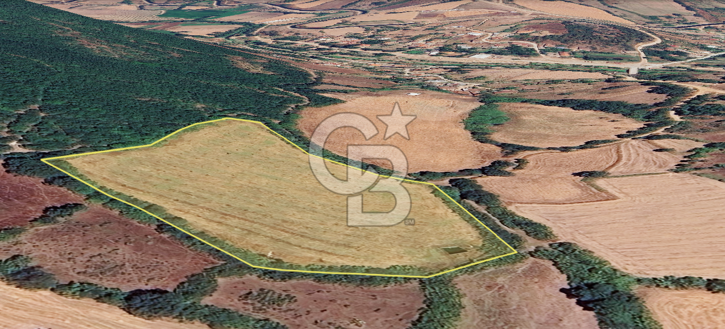 Çanakkale/Biga-BAKACAK Köyü SATILIK 12 DÖNÜM Tarla-220 Ceviz