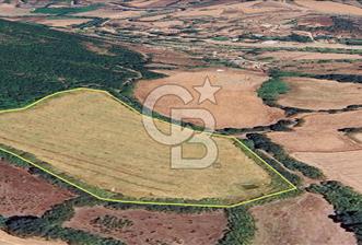 Çanakkale/Biga-BAKACAK Köyü SATILIK 12 DÖNÜM Tarla-220 Ceviz - 12 - 366889