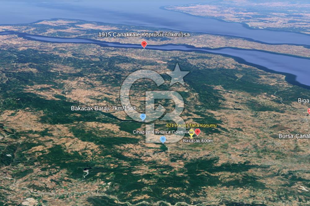 Çanakkale/Biga-BAKACAK Köyü SATILIK 12 DÖNÜM Tarla-220 Ceviz
