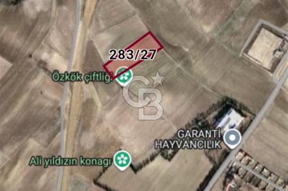 SİNCAN YENİKENT MÜLK MAH TEK TAPU
