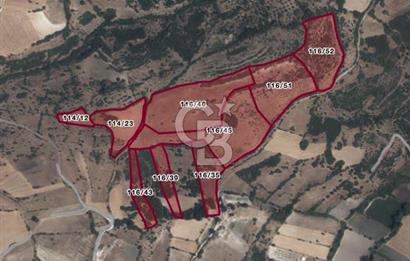 Balıkesir Altıeylül Türkali Satılık 9 Parsel Yatırım Arsası