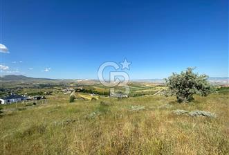  PURSAKLAR SİRKELİ YEŞİLOVA MAHALLESİ 1000 MT2 ARSA - 4 - 366929