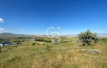  PURSAKLAR SİRKELİ YEŞİLOVA MAHALLESİ 1000 MT2 ARSA
