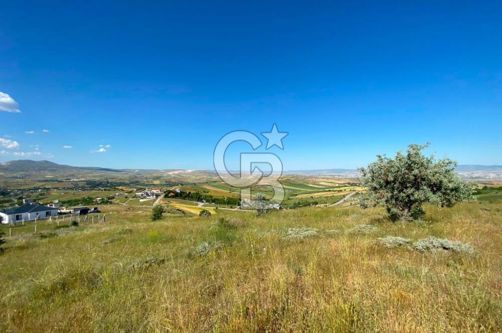  PURSAKLAR SİRKELİ YEŞİLOVA MAHALLESİ 1000 MT2 ARSA