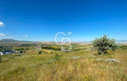  PURSAKLAR SİRKELİ YEŞİLOVA MAHALLESİ 1000 MT2 ARSA