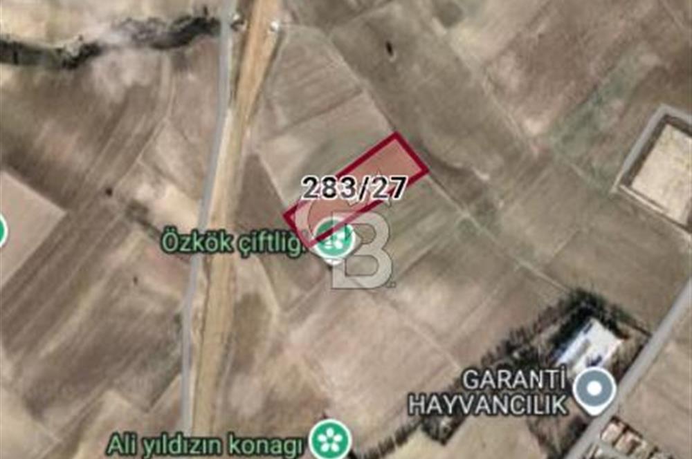SİNCAN YENİKENT MÜLK MAH TEK TAPU