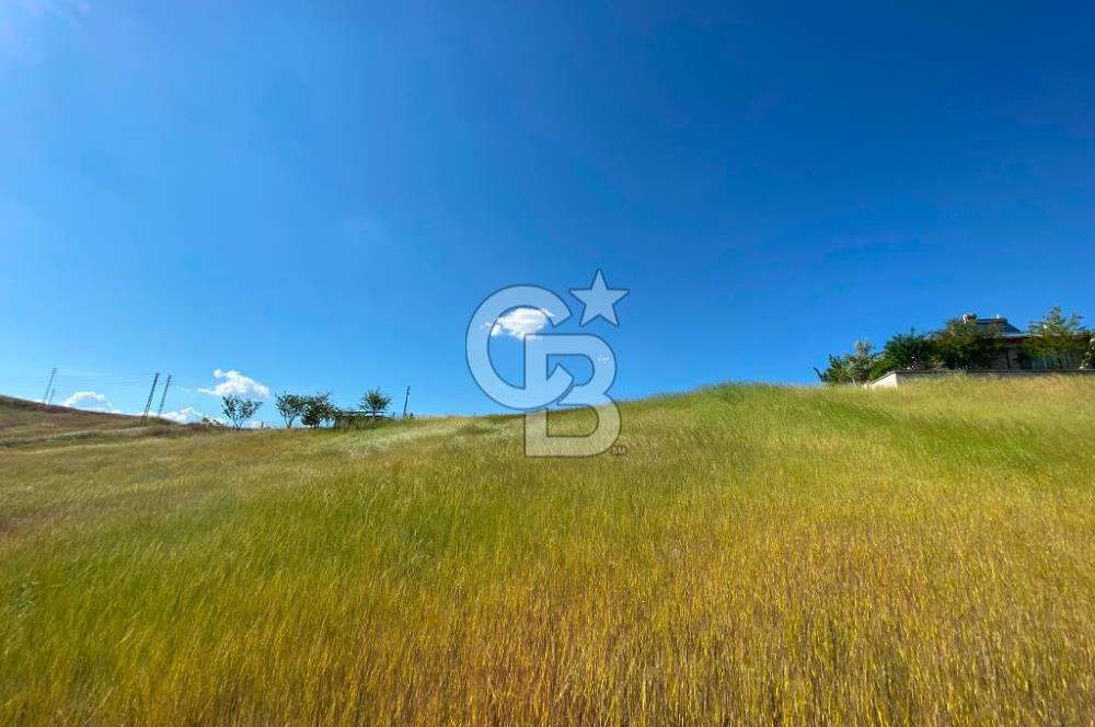  PURSAKLAR SİRKELİ SATILIK 704 MT2 ARSA