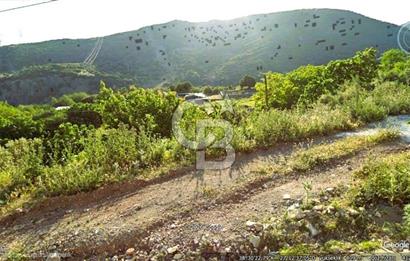 BORNOVA EĞRİDERE'DE 1.000 M2 SATILIK TARLA....