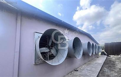 TARSUS ÇAMTEPEDE SATILIK TAM DONANIMLI ÇİFTLİK TESİSİ