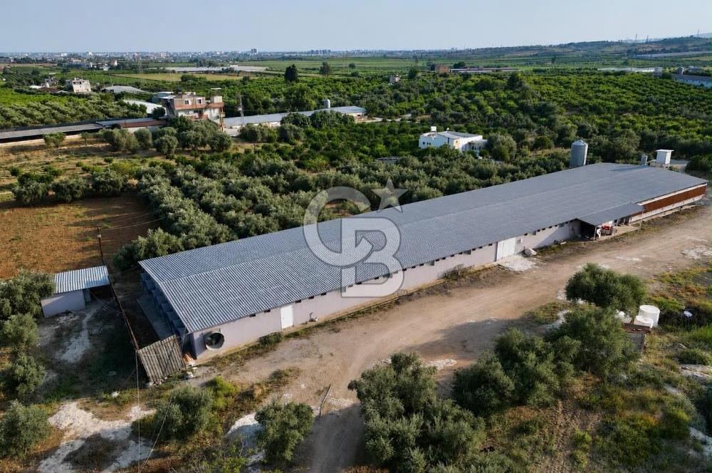 TARSUS ÇAMTEPEDE SATILIK TAM DONANIMLI ÇİFTLİK TESİSİ