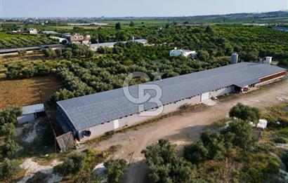 TARSUS ÇAMTEPEDE SATILIK TAM DONANIMLI ÇİFTLİK TESİSİ
