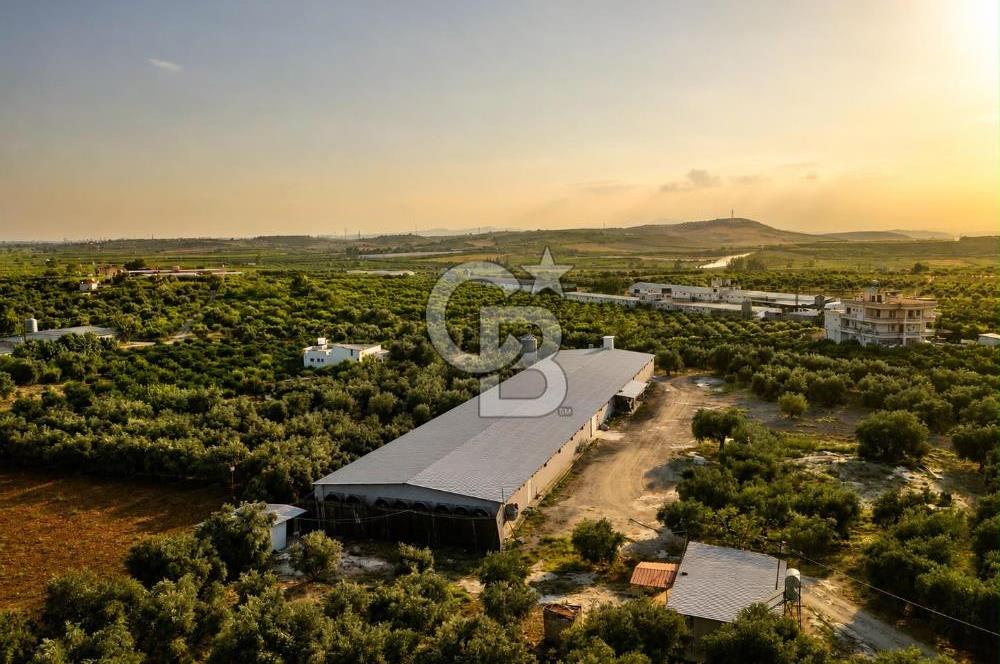 TARSUS ÇAMTEPEDE SATILIK TAM DONANIMLI ÇİFTLİK TESİSİ