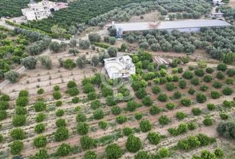 TARSUS ÖZBEKTE SATILIK BAĞ EVİ VE VERİMLİ TARIM ARAZİS - 11 - 366896