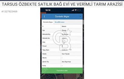 TARSUS ÖZBEKTE SATILIK BAĞ EVİ VE VERİMLİ TARIM ARAZİS