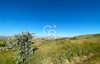  PURSAKLAR SİRKELİ YEŞİLOVA MAHALLESİ 1000 MT2 ARSA