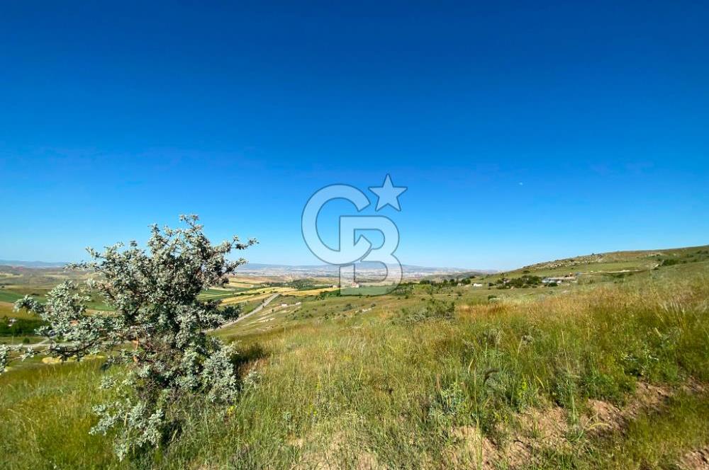 PURSAKLAR SİRKELİ YEŞİLOVA MAHALLESİ 1000 MT2 ARSA