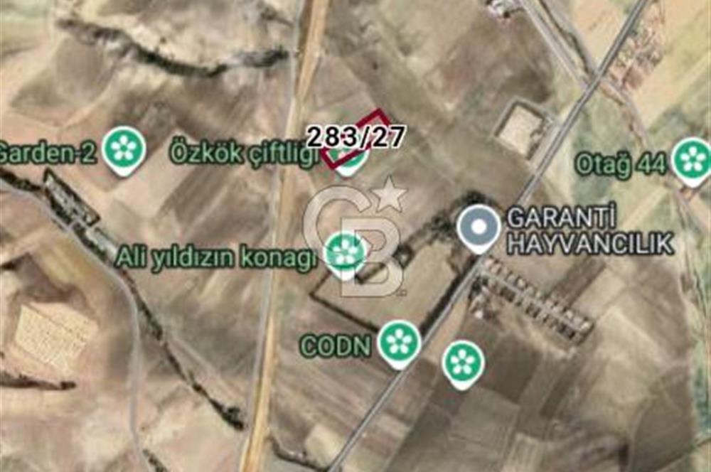 SİNCAN YENİKENT MÜLK MAH TEK TAPU