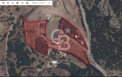 BORNOVA EĞRİDERE'DE 1.000 M2 SATILIK TARLA....