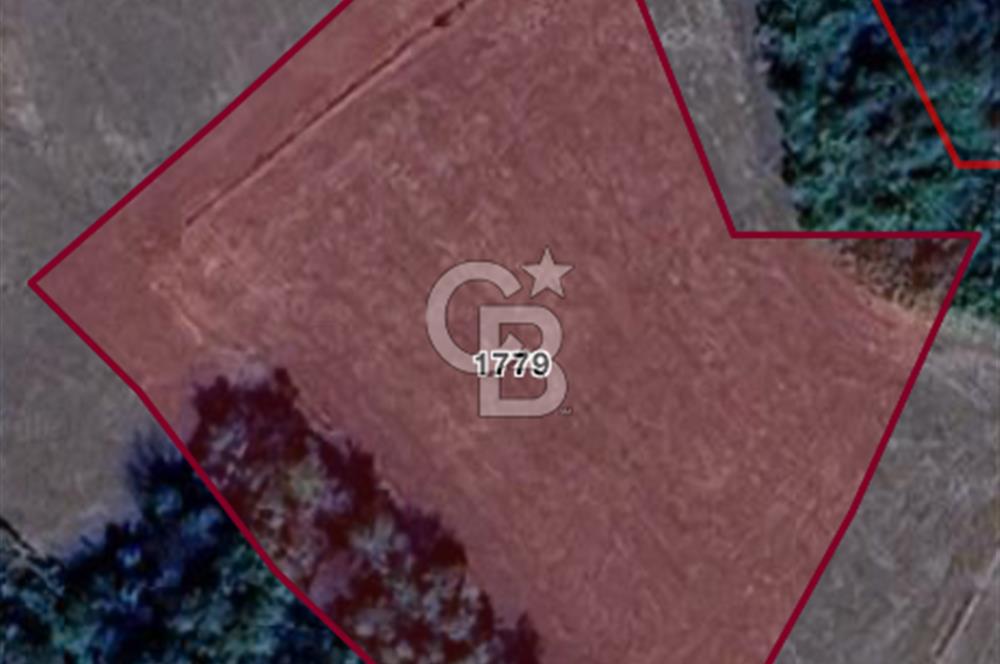 Hayrabolu Karakavak Satılık 2.200.000 TL Yatırımlık Tarla