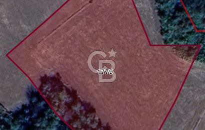 Hayrabolu Karakavak Satılık 2.200.000 TL Yatırımlık Tarla