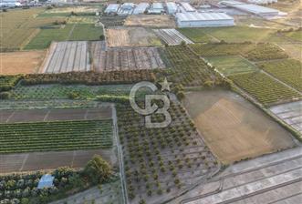 İzmir menemen mermerli mah 6888 metre kare - 12 - 366981