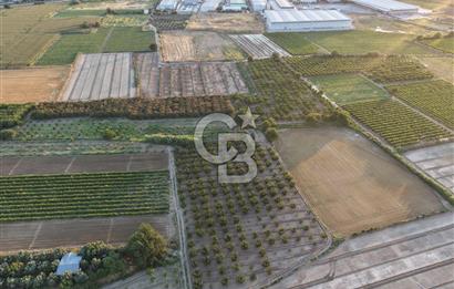 İzmir menemen mermerli mah 6888 metre kare