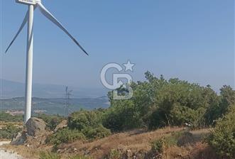 İzmir bergama koyunelinde aliaga yakin koykenari arazi - 6 - 367137