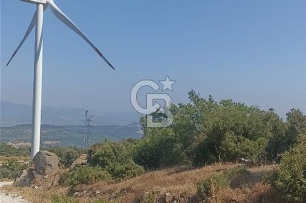 İzmir bergama koyunelinde aliaga yakin koykenari arazi