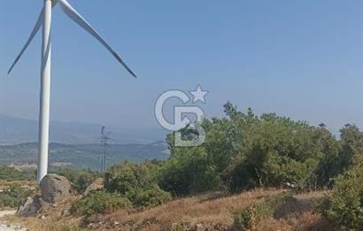 İzmir bergama koyunelinde aliaga yakin koykenari arazi