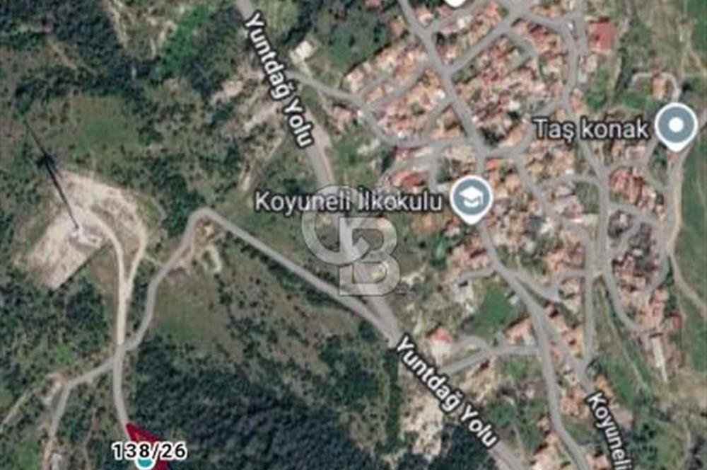 İzmir bergama koyunelinde aliaga yakin koykenari arazi
