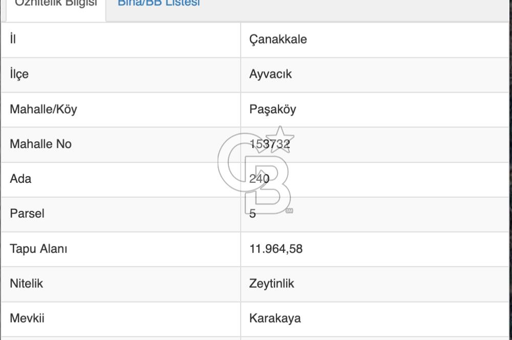 AYVACIK PAŞAKÖY'DE 11.964 M2 SATILIK VERİMLİ FIRSAT ZEYTİNLİK !!