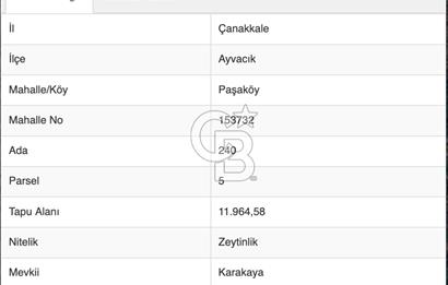 AYVACIK PAŞAKÖY'DE 11.964 M2 SATILIK VERİMLİ FIRSAT ZEYTİNLİK !!