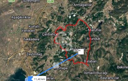 İzmir bergama koyunelinde aliaga yakin koykenari arazi