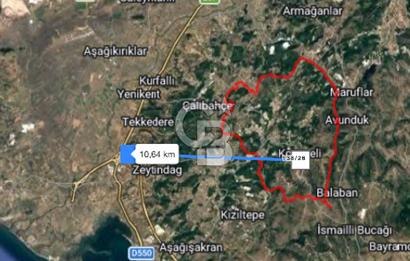 İzmir bergama koyunelinde aliaga yakin koykenari arazi