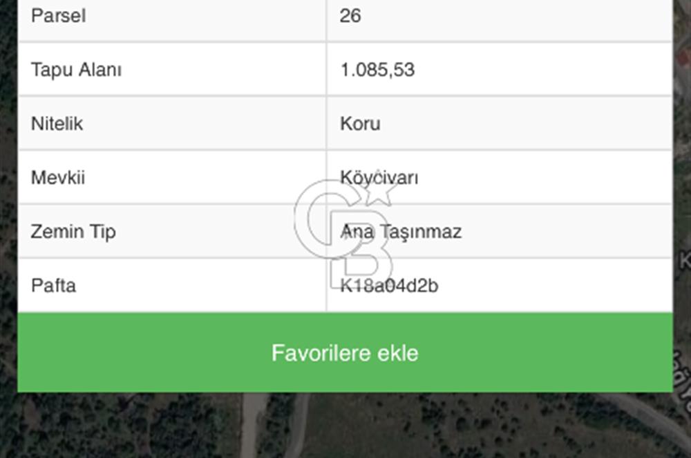 İzmir bergama koyunelinde aliaga yakin koykenari arazi
