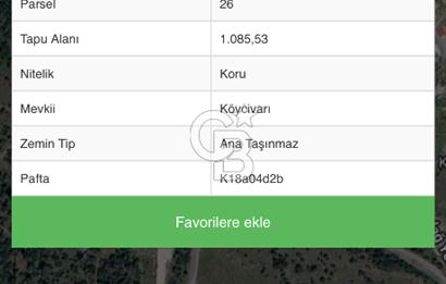 İzmir bergama koyunelinde aliaga yakin koykenari arazi