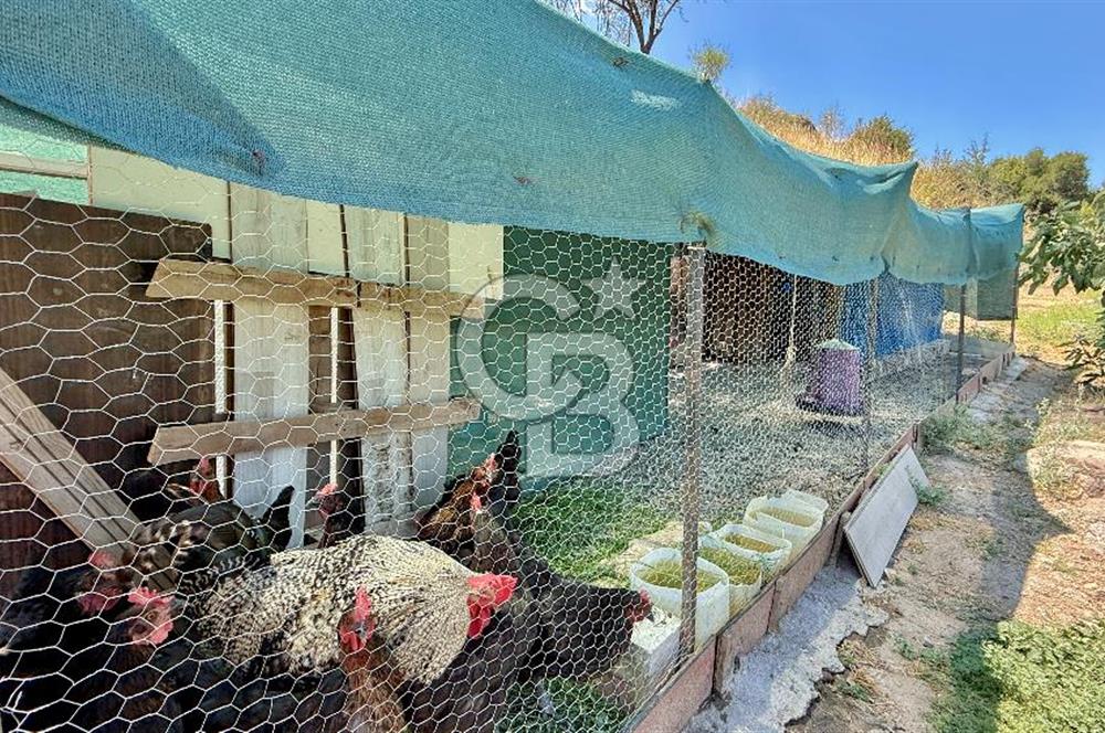 ÇANAKKALE MERKEZ TERZİLER KÖYÜNDE SATILIK ÖZEL HOBİ BAHÇESİ !!!