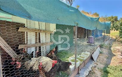 ÇANAKKALE MERKEZ TERZİLER KÖYÜNDE SATILIK ÖZEL HOBİ BAHÇESİ !!!