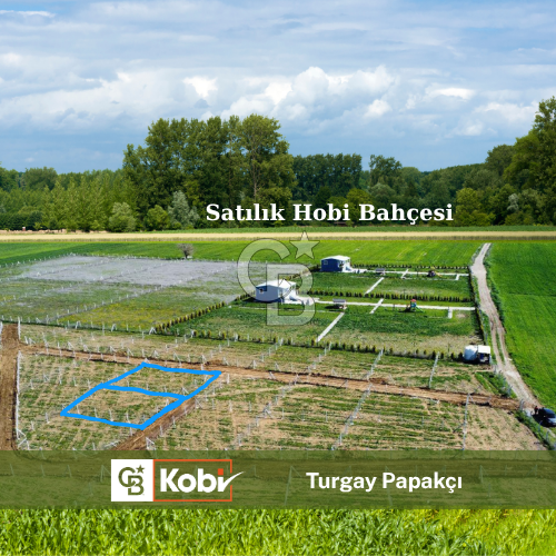 440m2 Kurulu düzende satılık HOBİ BAHÇESİ