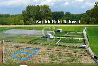 440m2 Kurulu düzende satılık HOBİ BAHÇESİ - 1 - 367124