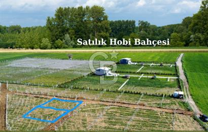 440m2 Kurulu düzende satılık HOBİ BAHÇESİ