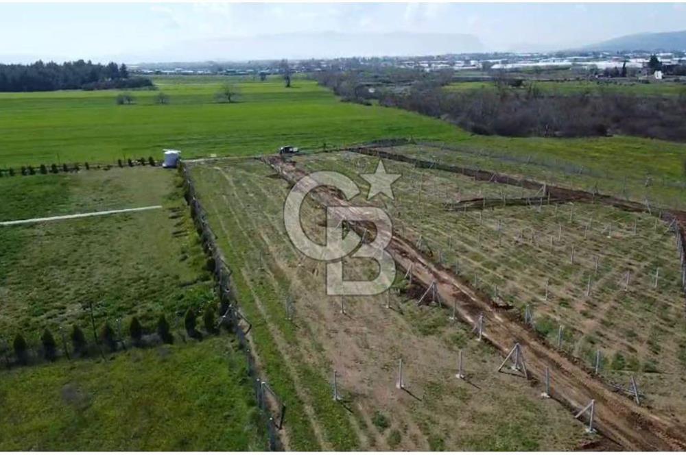 440m2 Kurulu düzende satılık HOBİ BAHÇESİ