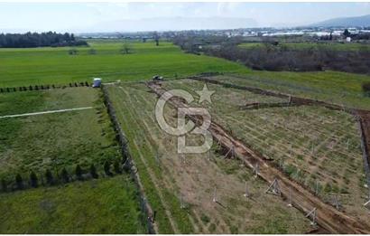 440m2 Kurulu düzende satılık HOBİ BAHÇESİ