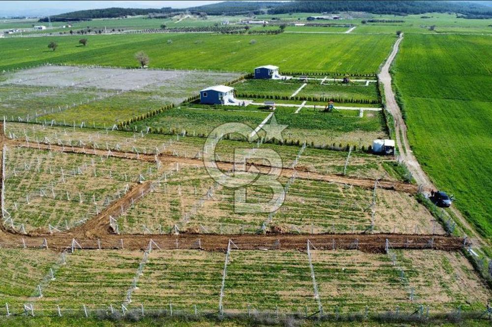 440m2 Kurulu düzende satılık HOBİ BAHÇESİ