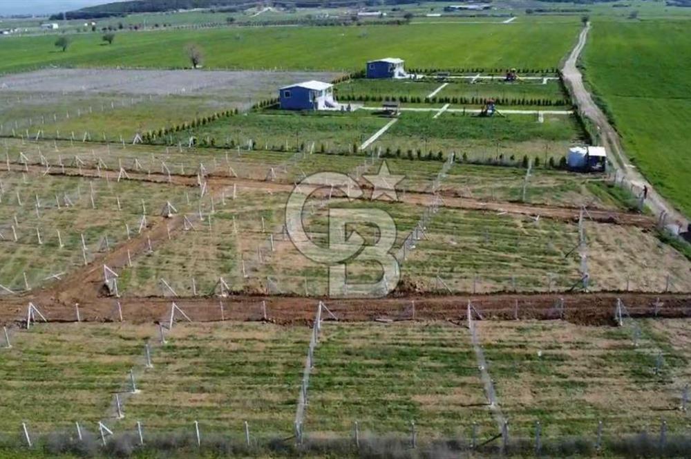 440m2 Kurulu düzende satılık HOBİ BAHÇESİ