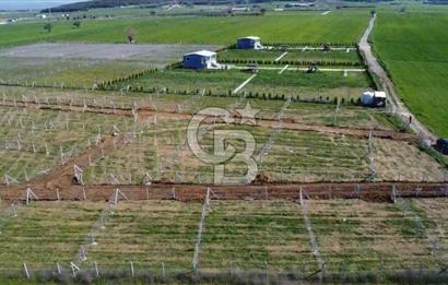 440m2 Kurulu düzende satılık HOBİ BAHÇESİ